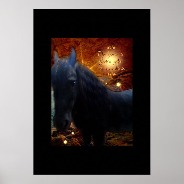 Sunshine - Poster (Vorne)