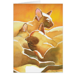 Sunshine Siamese Cats