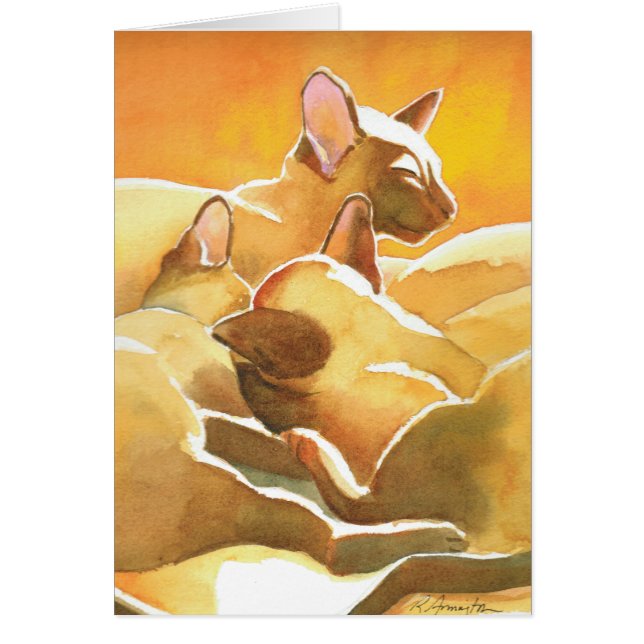 Sunshine Siamese Cats (Vorne)