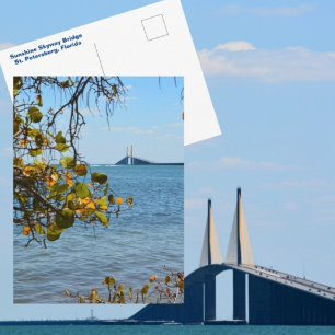 Sunshine Skyway Bridge St. Petersburg Fotografie Postkarte