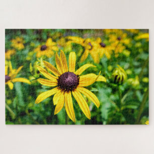 Sunshine Susans Puzzle