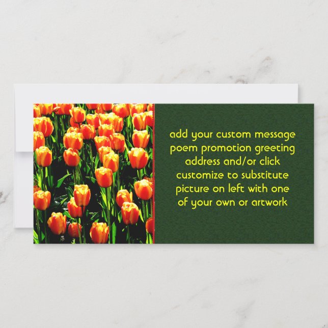 Sunshine Tulips (Vorderseite)