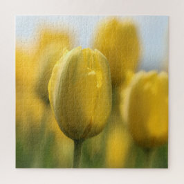 Sunshine tulips puzzle