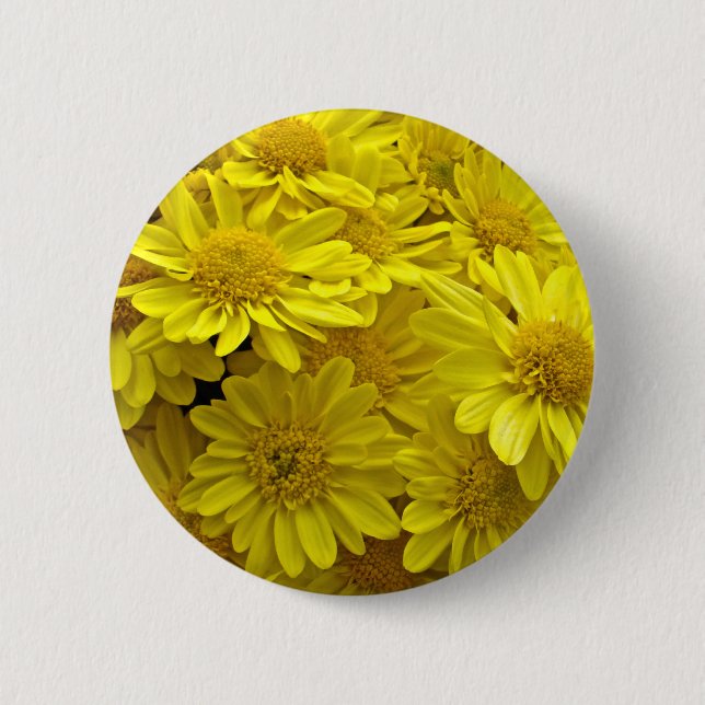 Sunshine Yellow Chrysanthema Button (Vorderseite)