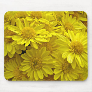 Sunshine Yellow Chrysanthema Mousepad
