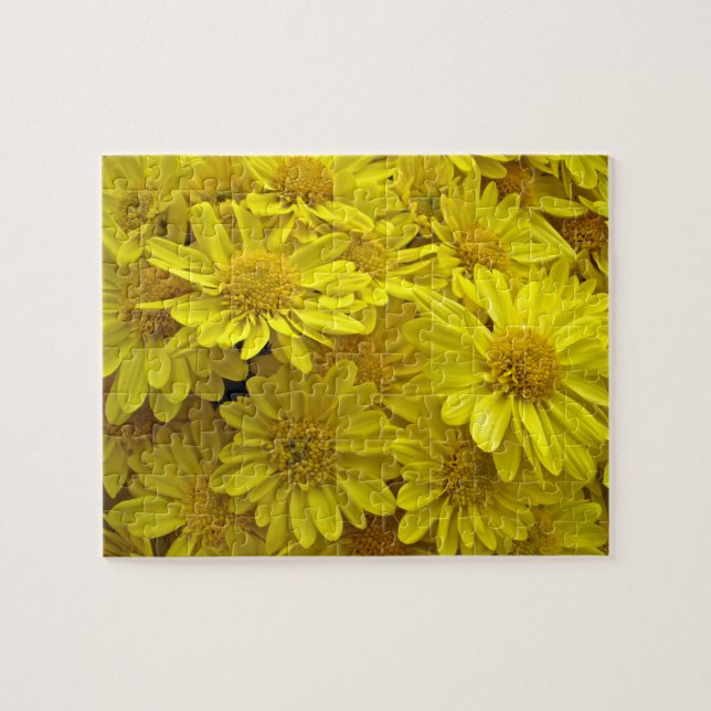 Sunshine Yellow Chrysanthema Puzzle (Horizontal)