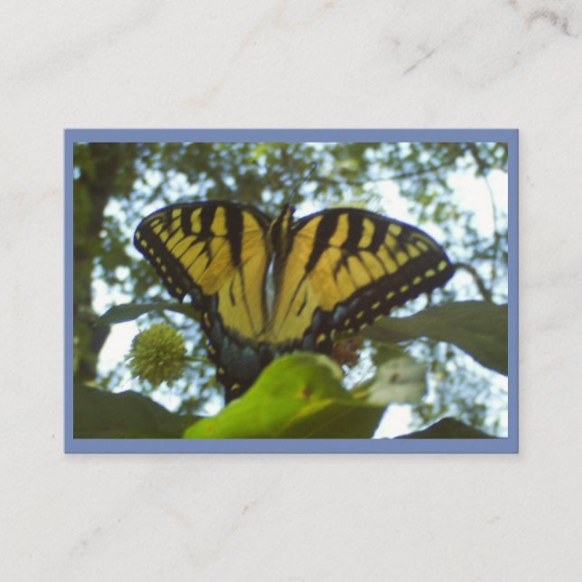 Sunshine Yellow Monarch Visitenkarte (Vorderseite)