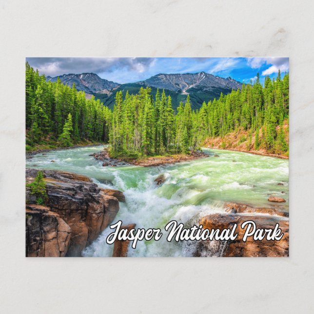 Sunwapta Falls, Jasper Nationalpark Postkarte (Vorderseite)