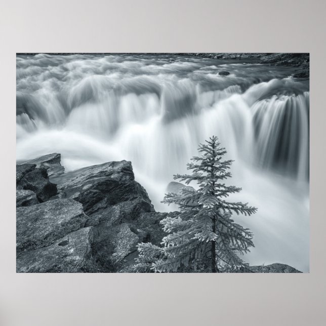Sunwapta Falls sw Poster (Vorne)