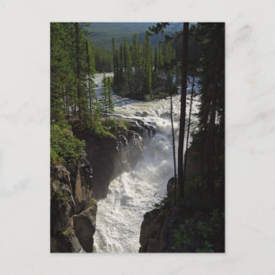 Sunwapta fällt im Jasper-Nationalpark Postkarte