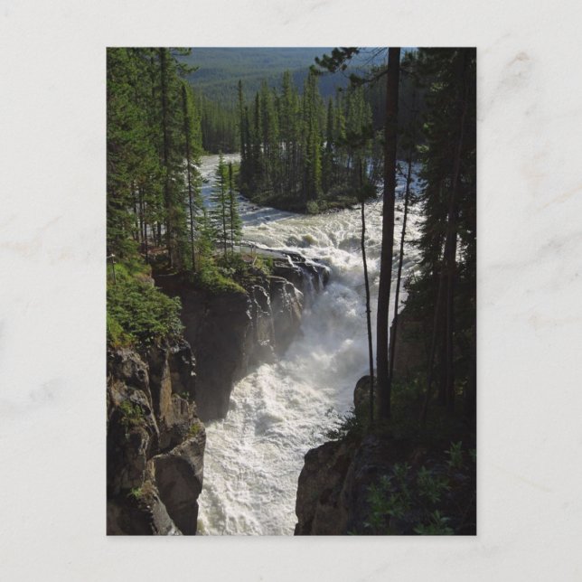 Sunwapta fällt im Jasper-Nationalpark Postkarte (Vorderseite)