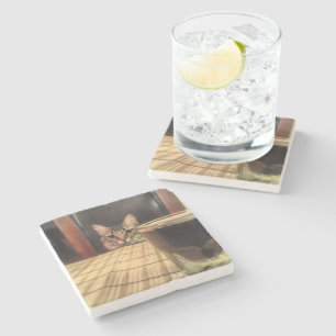 Sup-Bier? Lustige Spaßkitty-Katzen-Foto-Fotografie Steinuntersetzer