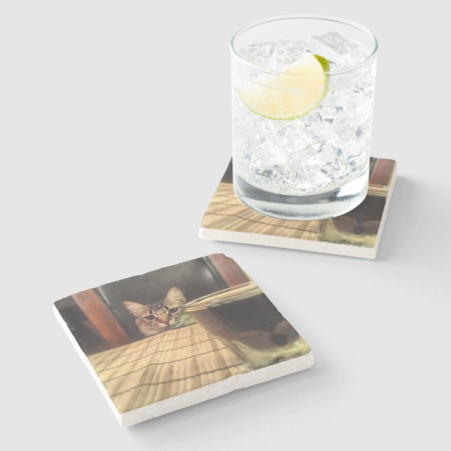 Sup-Bier? Lustige Spaßkitty-Katzen-Foto-Fotografie Steinuntersetzer (Seitenansicht)