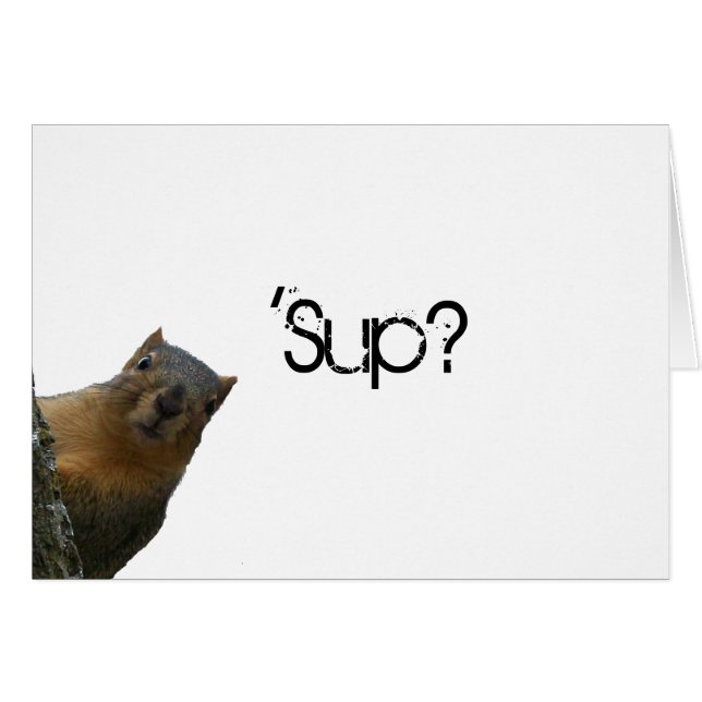"Sup?" Eichhörnchen hinter dem Baum (Vorderseite (Horizontal))