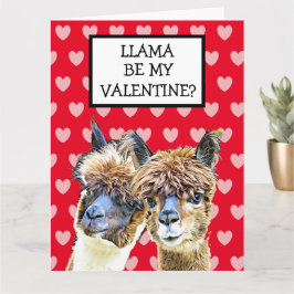 Super Big Llama bin mein Valentine? Ich liebe dich Karte