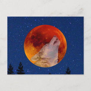 Super Blood Wolf Moon 2019 Postkarte