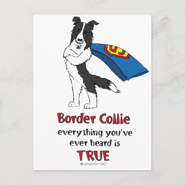 Super Border Collie Black Postkarte (Vorderseite)