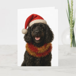 Super cute black Cockerpoo Christmas card Karte