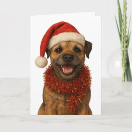 Super cute Border Terrier Christmas card Karte