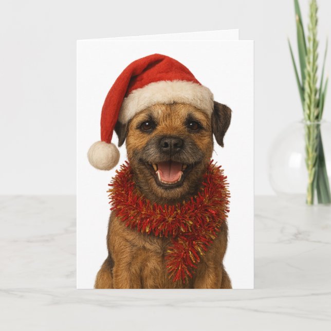 Super cute Border Terrier Christmas card Karte (Vorderseite)