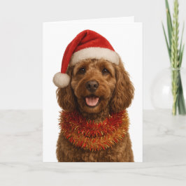 Super cute Cockerpoo Christmas card Karte