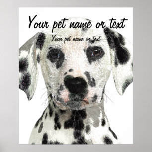 Super Cute, Puppy Dalmatian Dog Poster
