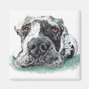 Super Dane aufgeklebt Merle Magnet