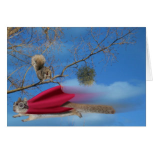 Super-Eichhörnchen fliegen