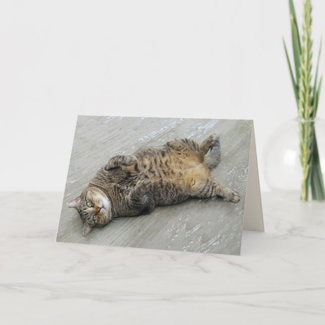 Super Excise Cat Birthday Card Karte (Vorderseite)