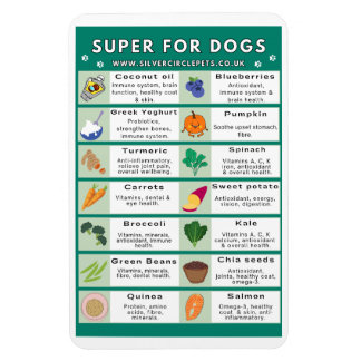Super Foods für Hunde Kühlschrankmagnet Magnet