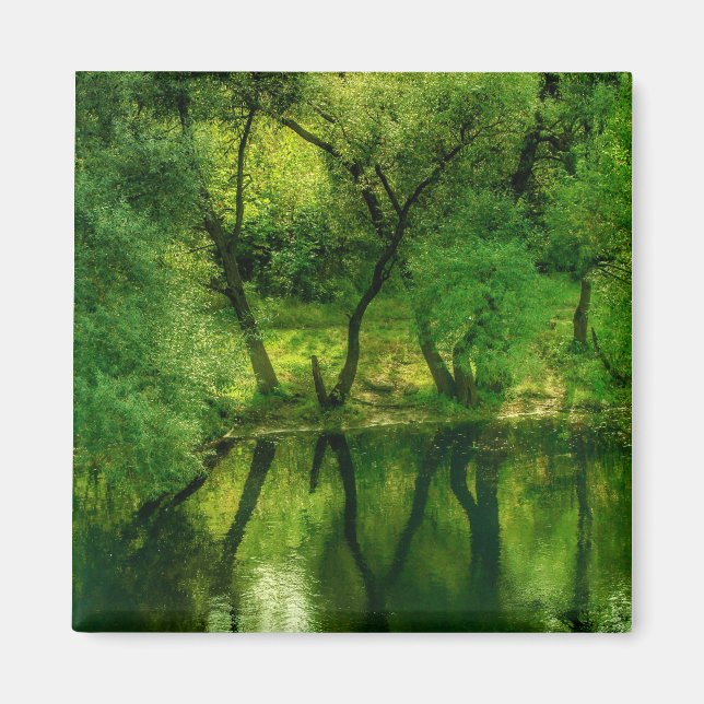 Super Green River / Lake Tree Reflection Magnet (Vorne)