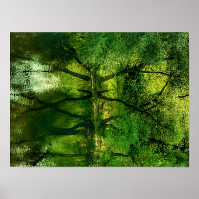 Super Green River Trees Spiegelung A3 Poster (Vorne)