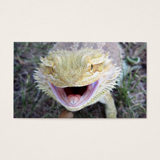 Super Happy Bartded Dragon (Vorderseite)
