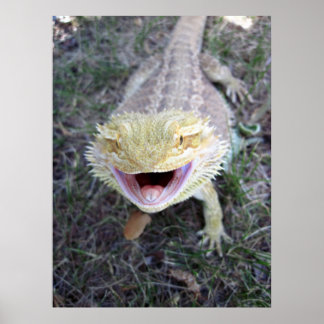 Super Happy Bartded Dragon Poster