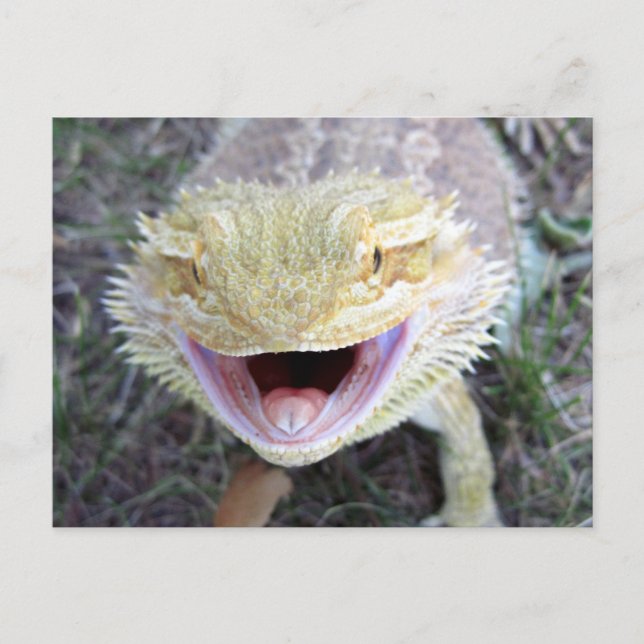 Super Happy Bartded Dragon Postkarte (Vorderseite)
