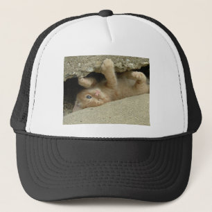 Super Hero Orange Tabby Kitten Truckerkappe