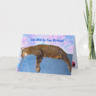 Super Lazy Party Cat Birthday Karte