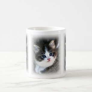 SUPER LIEBENSWERTES Katzenporträt-Fotografie Tasse