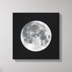 Super Mond Mendota Heights Minnesota Leinwanddruck