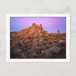 " Super-Moon Morning " Postkarte