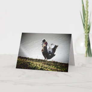 Super Muscovy Duck Greeting Card Karte