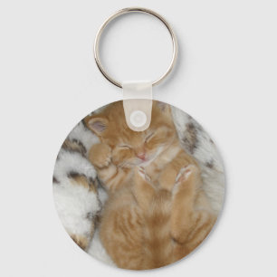 Super Niedlich Ginger Schlafkitten Schlüsselanhänger