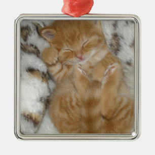 Super Niedlich Ginger Schlafkitten Silbernes Ornament
