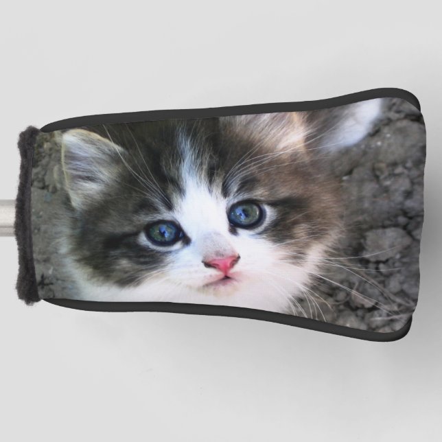 Super Niedlich Kitten Cat Foto Golf Headcover (Vorderseite)