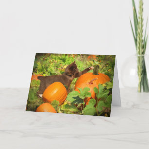 Super Niedlich Kitten in Pumpkin Patch Halloween Karte