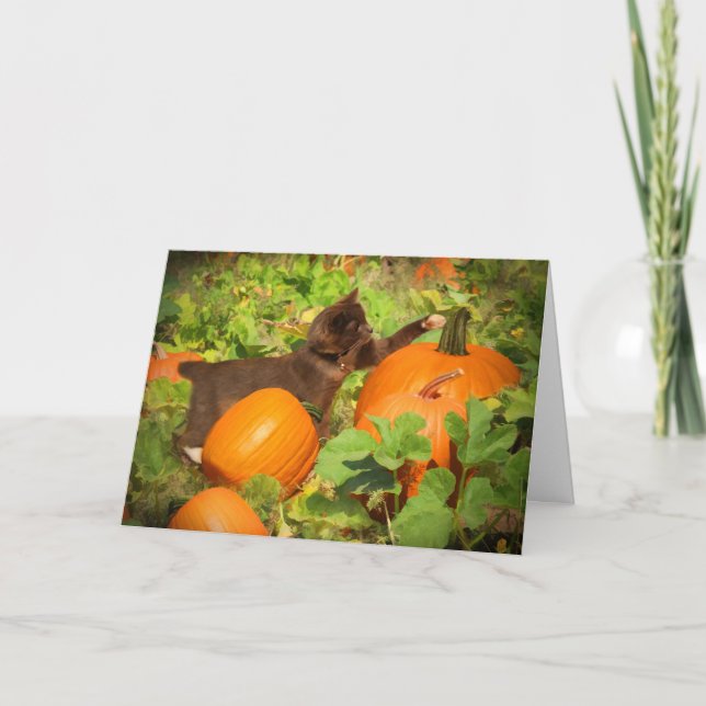 Super Niedlich Kitten in Pumpkin Patch Halloween Karte (Vorderseite)