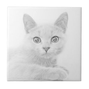 SUPER NIEDLICH Kitten Portrait Fliese