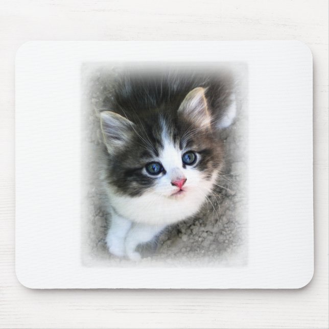 SUPER NIEDLICH Kitten Portrait Foto Mousepad (Vorne)