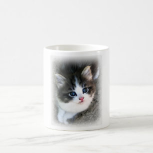 SUPER NIEDLICH Kitten Portrait Foto Tasse