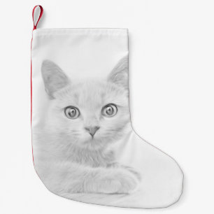 SUPER NIEDLICH Kitten Portrait Kleiner Weihnachtsstrumpf